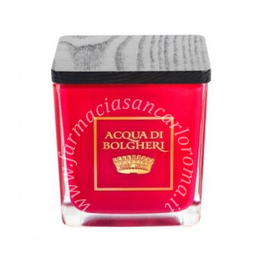 Acqua di Bolgheri candela profumata bacche di vinum 200 g