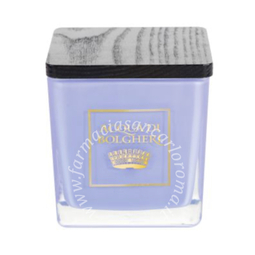 Acqua bolgheri candela profumata lavanda 200 g