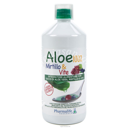 Aloe Mirtillo  Vite 1Lt