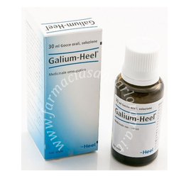 Heel galium gocce 30 ml