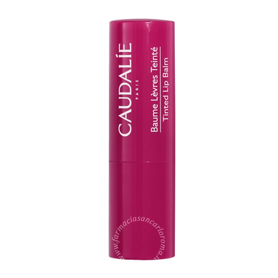 Caudalie balsamo labbra colorato 4,5 g