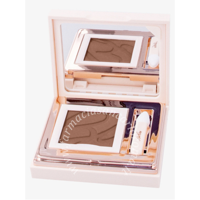 Bionike Defence Color silky touch ombretto compatto 423 brique
